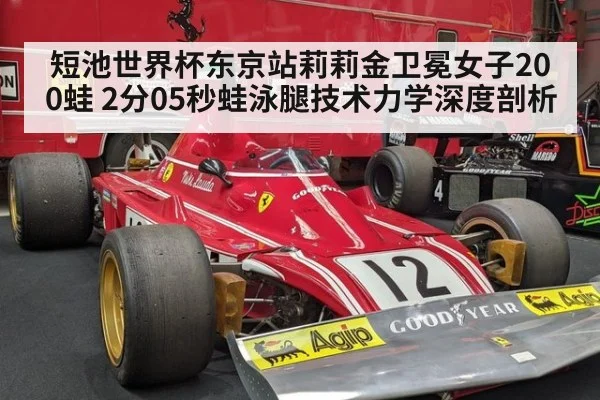 短池世界杯东京站莉莉金卫冕女子200蛙 2分05秒蛙泳腿技术力学深度剖析（jiuyou）